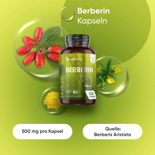 Berberin Kapseln