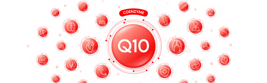 Coenzym Q10: Vorteile, Quellen und Nebenwirkungen