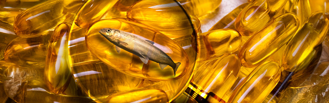 Omega 3 Nahrungsergänzung