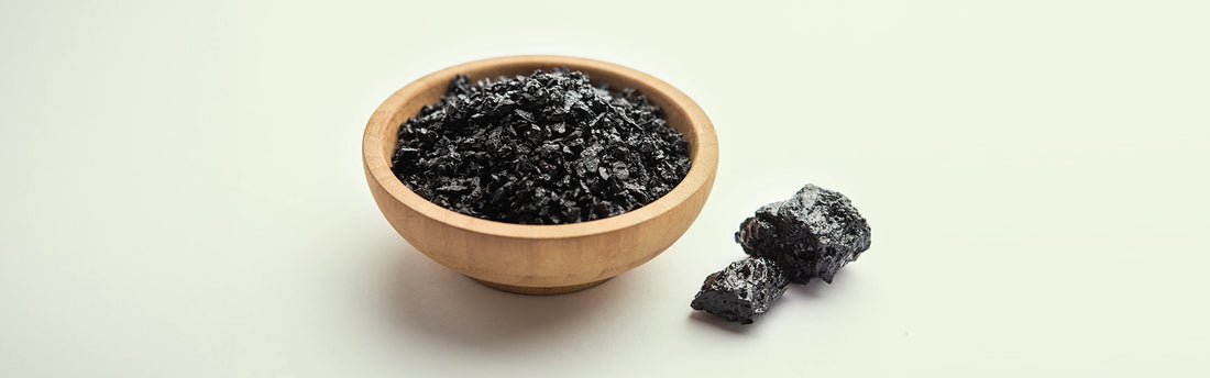 Shilajit, ein ayurvedisches Heilmittel, das wichtige Gesundheitsvorteile für Männer und Frauen bietet.