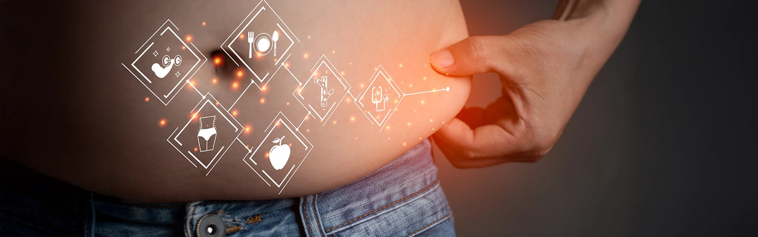 Bauchfett Abnehmen Übergewicht Diät Gesundheit Fitness Gewichtsverlust Ernährung Medizin Technologie