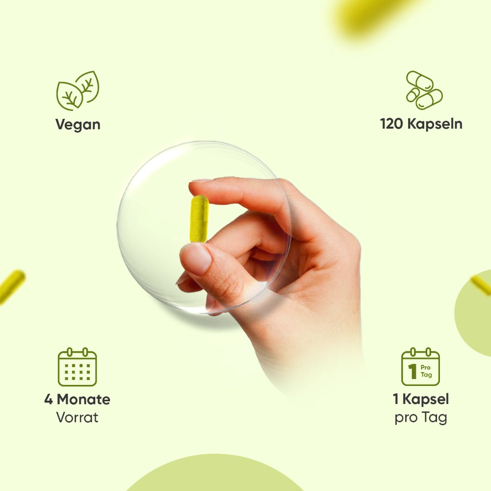 berberin-120-capsules-de-4
