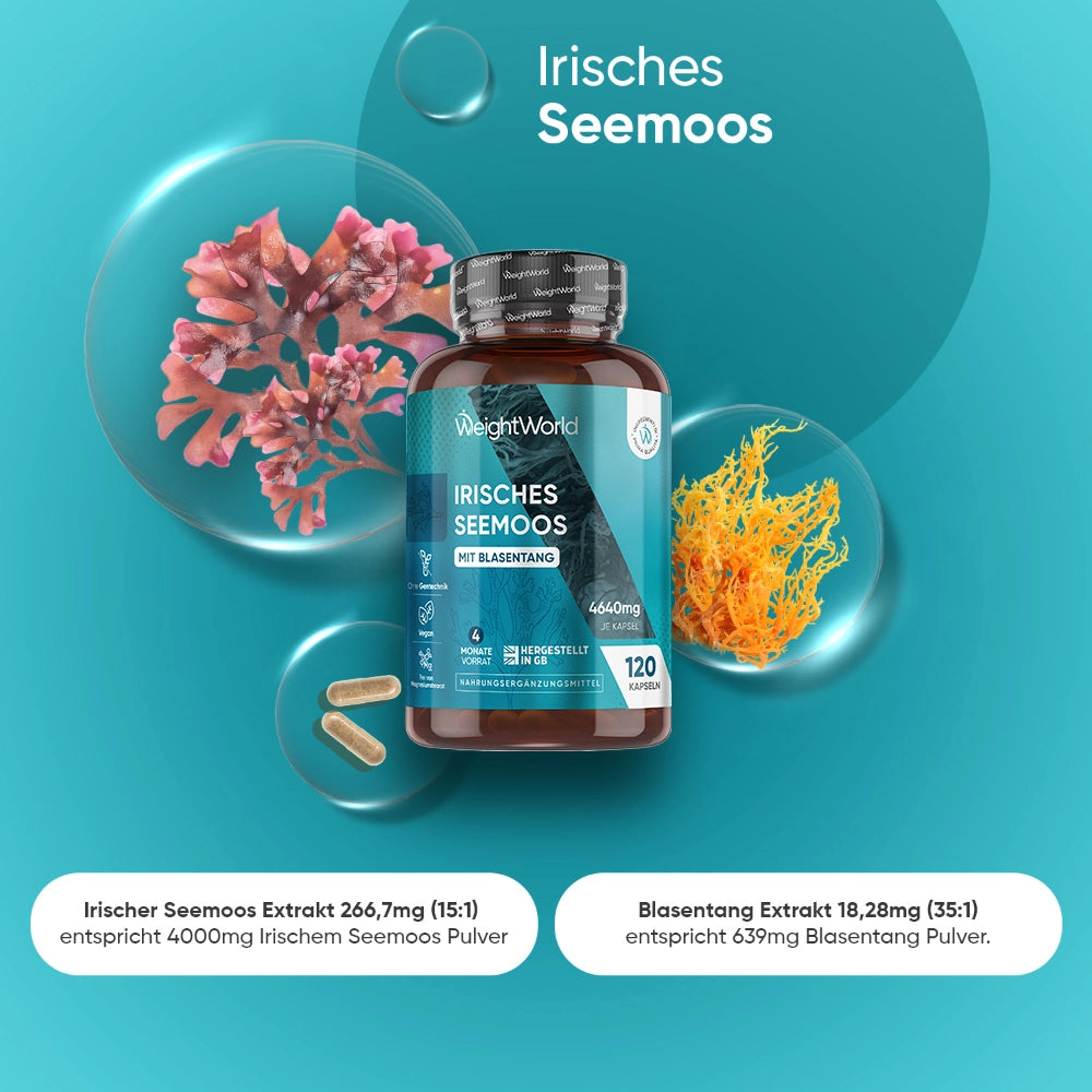 irish-sea-moss-capsules-de-2