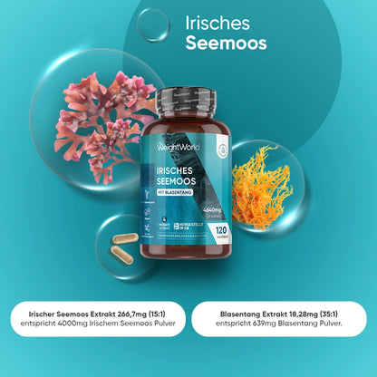 irish-sea-moss-capsules-de-2