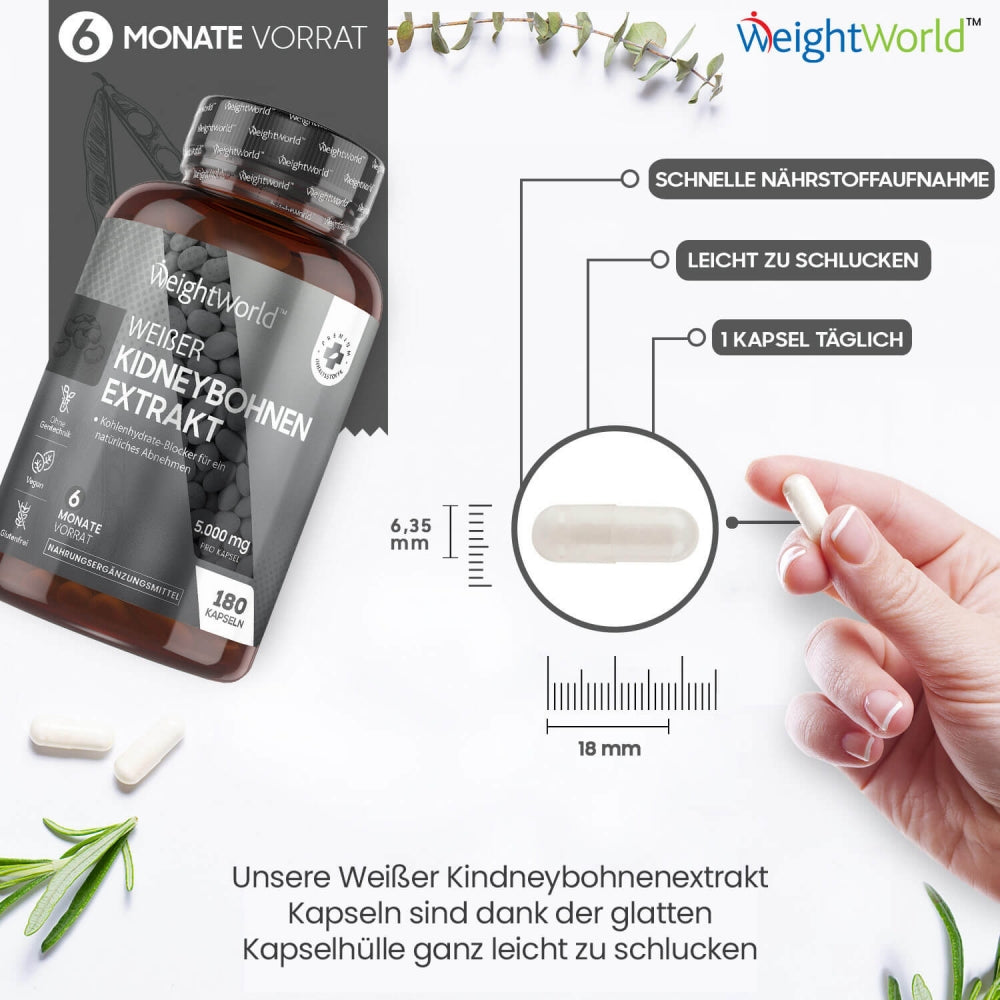 kidney-white-extract-bean-de-new-4