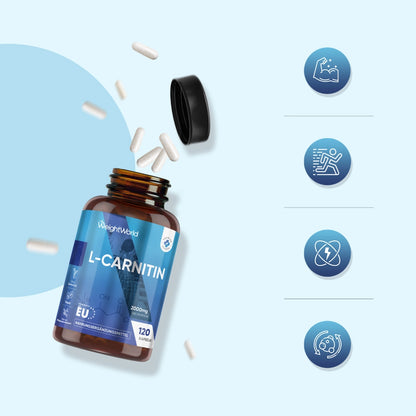l carnitin tabletten abnehmen Bundle L-Carnitin Tartrat 90 Kapseln 1000