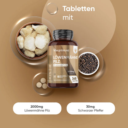 Zutaten unserer Löwenmähne Pilz Tabletten