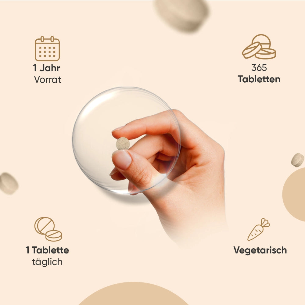 Merkmale unserer Löwenmähne Pilz Tabletten