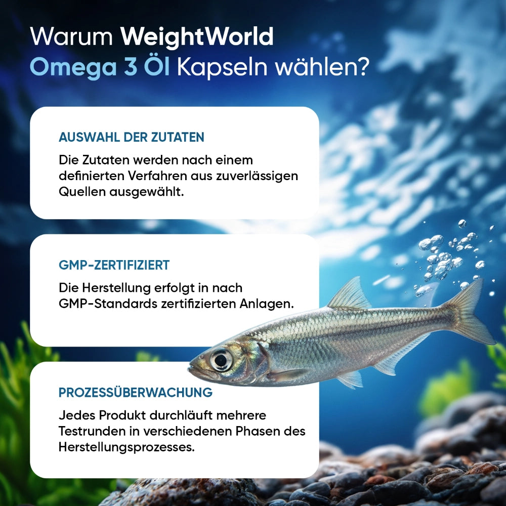omega-3-fischol-1000mg-de-6