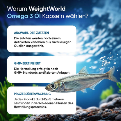 omega-3-fischol-1000mg-de-6