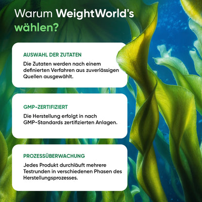 Infografik: Warum WeightWorld wählen? GMP-zertifiziert, Auswahl der Zutaten