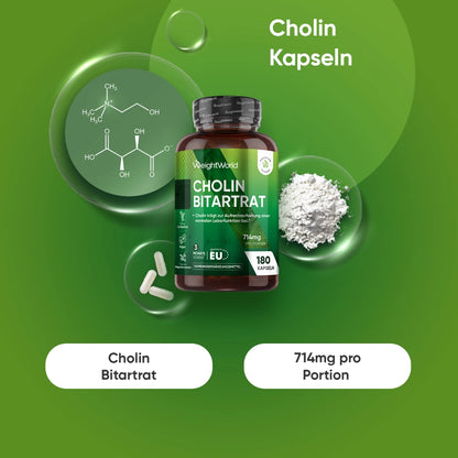 Cholin Bitartrat Kapseln