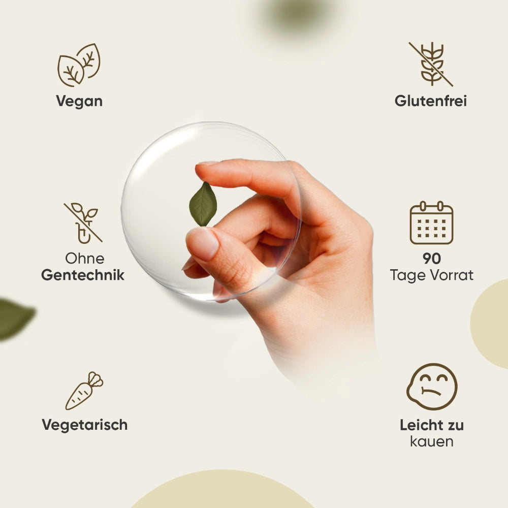 Löwenmähne Pilz Gummibärchen
