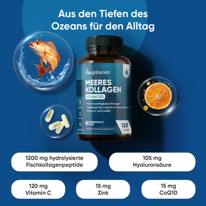 weightworld-de-marine-collagen-caps-01