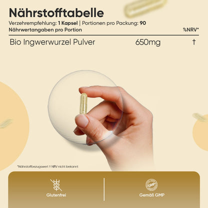 Bio Ingwer Kapseln
