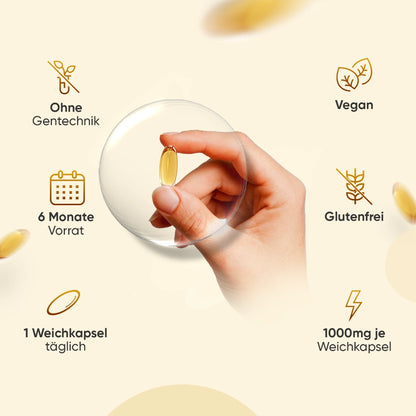 Nachtkerzenöl Softgels