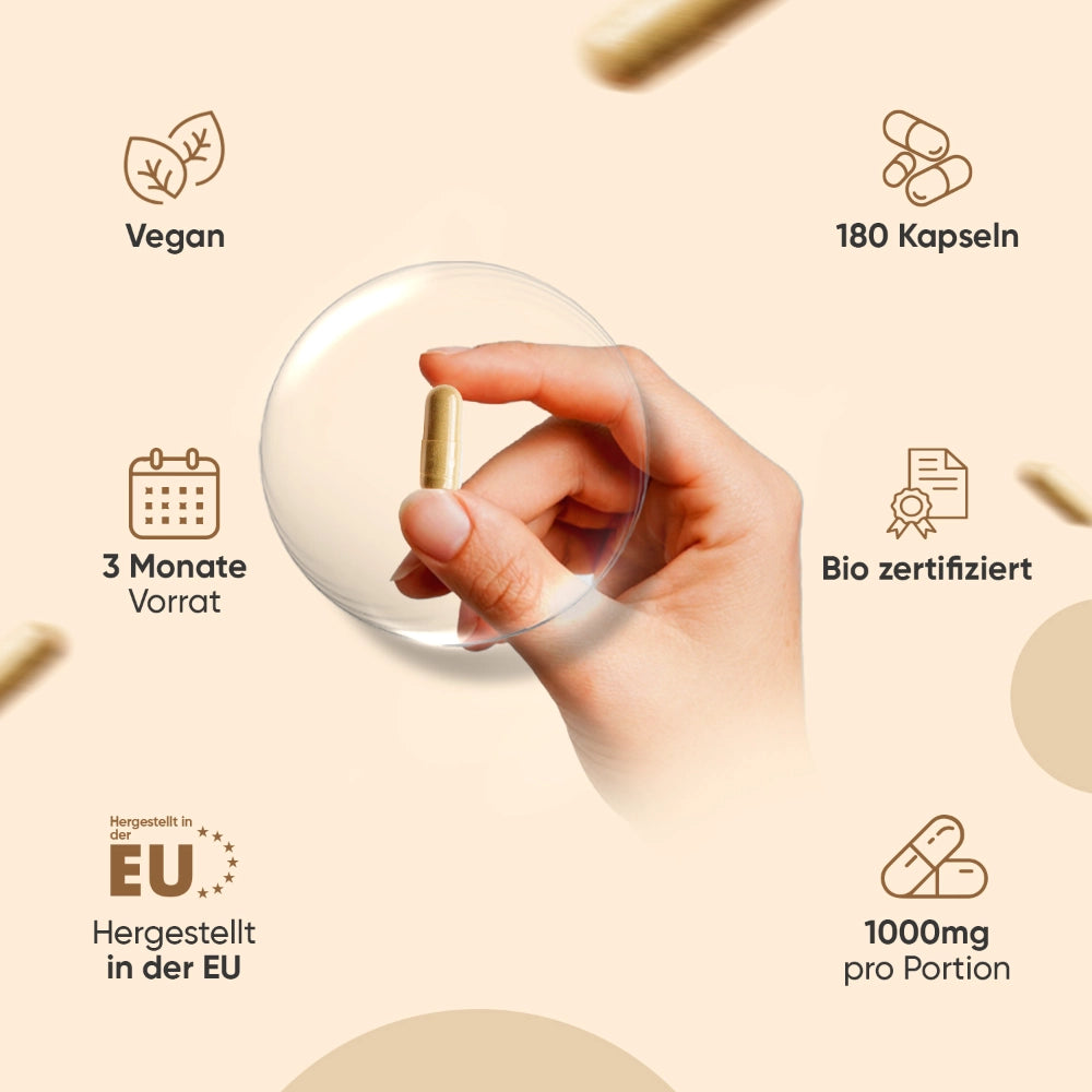 Bio Pilz Komplex Kapseln