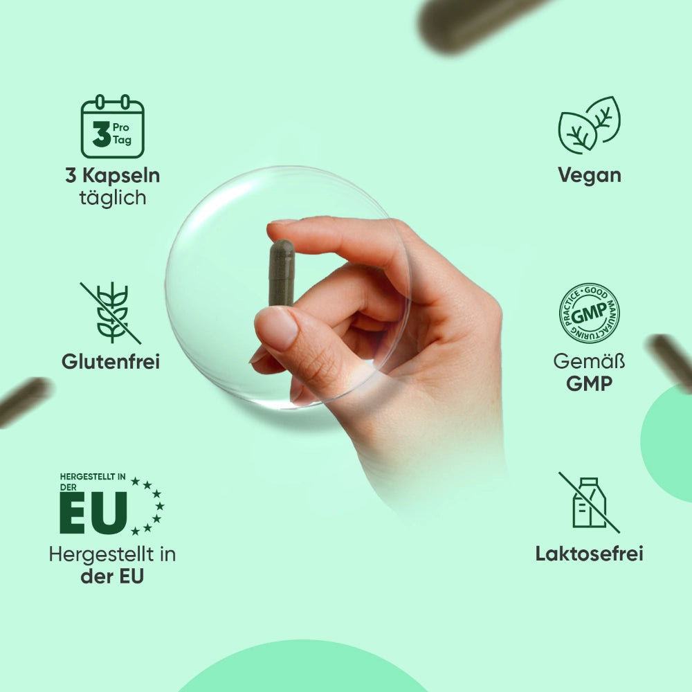 Bio Moringa Kapseln